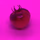 110692649264369377071495627220392981109400302920527361961030166695368928002049