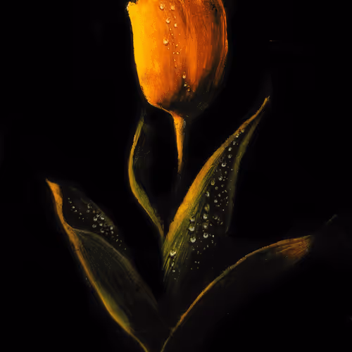 Untitled Collection #444772105