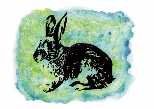 Item #38117409382303063113636249033500840059352320996725187625473166551309382320129 Media