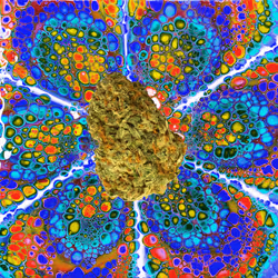 13955282856406335165414100891374623718709547313428947888299033971449973964810