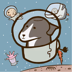 80134506096446897106563367243038315798890526863025571632515567545113762594826