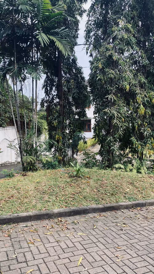 Item #67351599835119222926472791054605114312857726710672675867915900170950181650433 Media