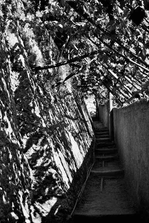 Item #86935901783067073352333628966122305323978878013206639598226716955486439079941 Media