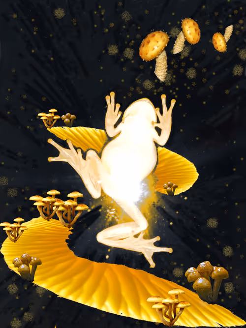 Item #54660515347108810681375159558467547537166147374531208020972418762384473063425 Media