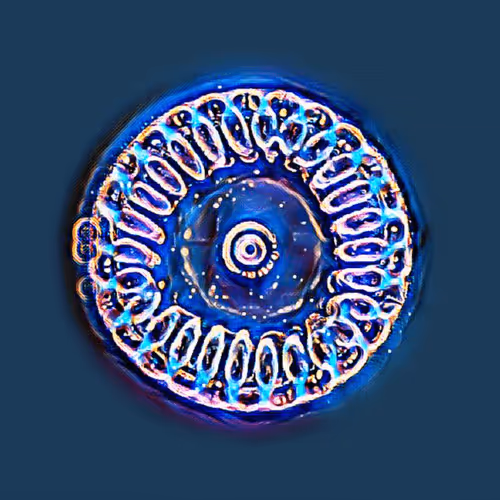 Item #76890309982572414559524539652653274915372995696638965878349557287937476919297 Media