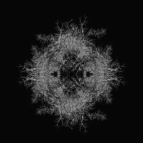 Item #48216677678887992956199146050101977369740452437452834237877791814832353181697 Media