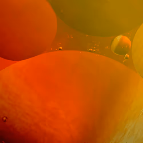 Item #75595575961320176908689771743552415637707284218923530060333789916764856909825 Media