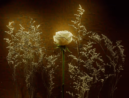 Flower #2