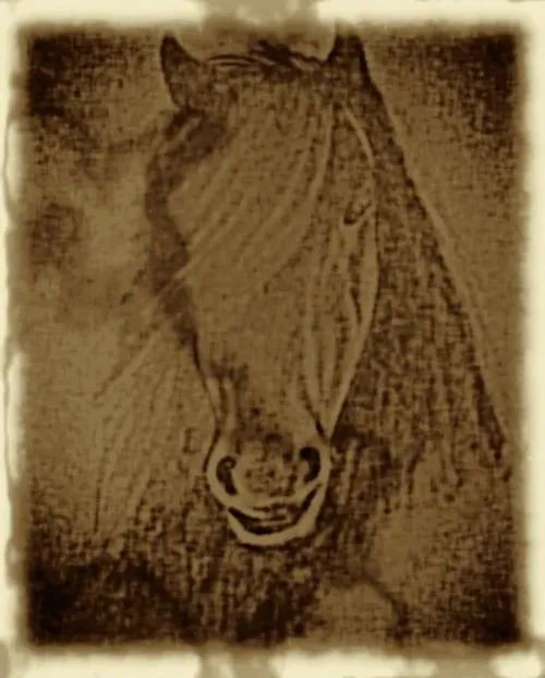 Item #112046021033654007241005822439757220181591102796162182186879993938832932208641 Media