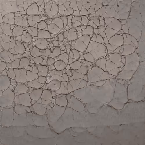 Item #58241160855422744817468407088196322100109565521561100950236907072010273685505 Media