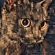 88561518021328497904605529746343704611933356558378973668603986080617281355777