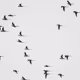 113490597167366337586628262482340856168812680263226940778128997678769227431937