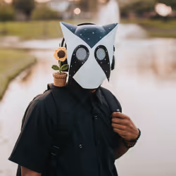 24254534113002831667604478980442589605007155413265616638335107428918828728321