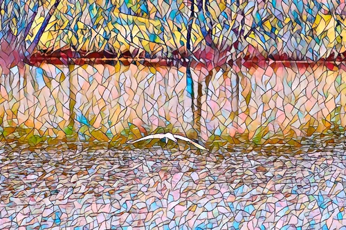 Item #32733674861489650832352945143157041569592525552396925725669160645462641868801 Media