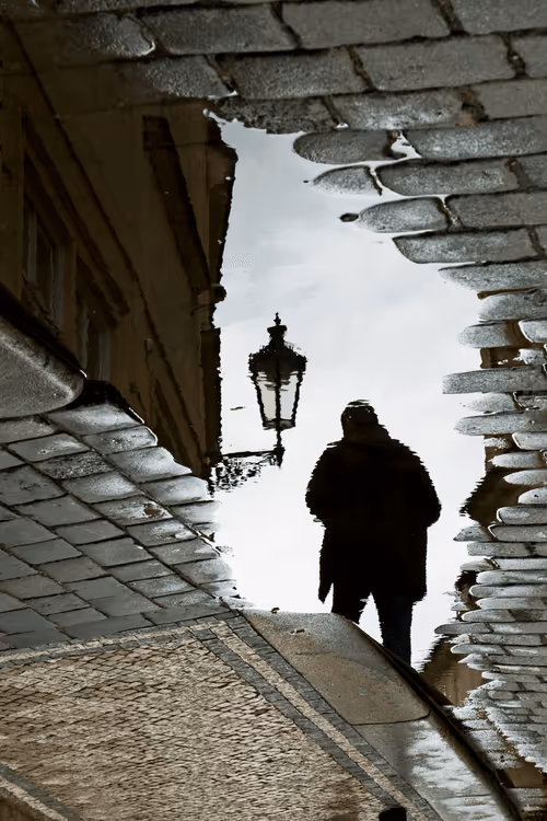 Item #72771752724512834897841148734331697196499953349916527017693403090481575886948 Media