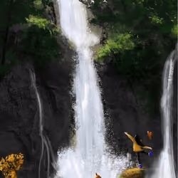 Adventures Life #9