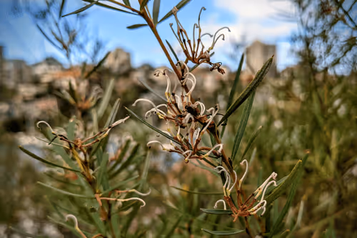 Item #39075669952795110311488058078452160275975432518977374571902800617915275018241 Media