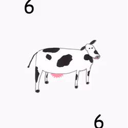 88616899716904079673830621173984426538072062572803848377536091104368014655489