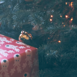 Glimpse of Holiday Cheer