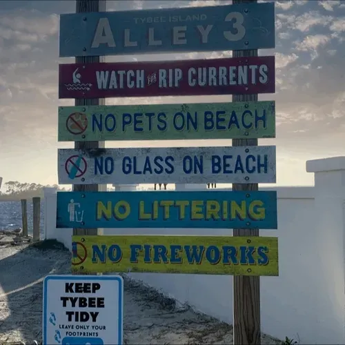 Item #84914411215941456382790687594042372171508928850691019220247764232378158940260 Media