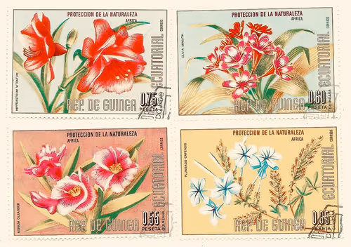 Item #13008463681025415778097378138396387110062737617569484411233010677279824548744 Media