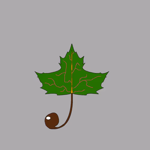 Item #67442861663334708568431626599499864796798009138674433109352702454826618847233 Media