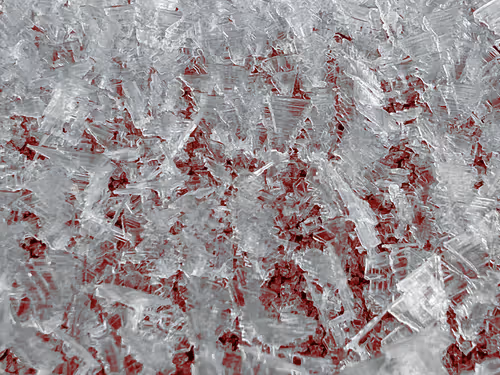 Item #765092353256913632150919755788123742064288550691722566356929301271636082698 Media