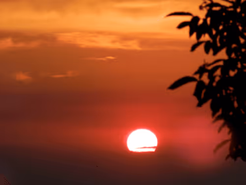 Item #55297223282317197917185791022658401724226762533250968792427961323427815489537 Media