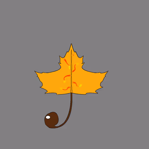 Item #67442861663334708568431626599499864796798009138674433109352702328382781652993 Media