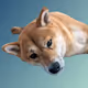 75326874550880600326490188935567191876487813911489107474527429788473875234817