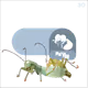 24705041787920661933578063921032196695044586853584662932146667939094117482497