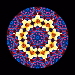 Colorful Mandala #005