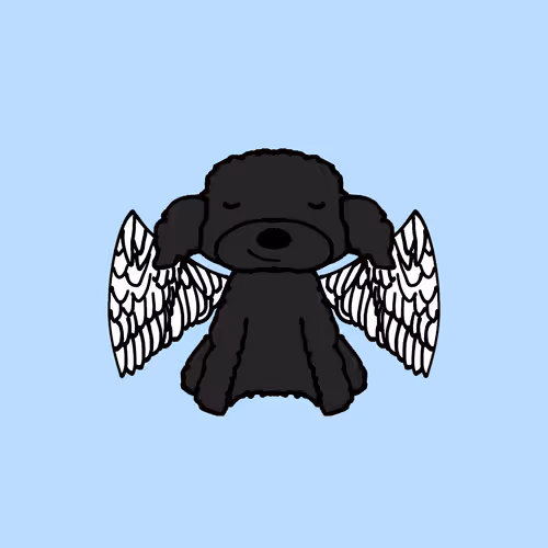 Item #115235947819447045206116047394293711493404383168680402050012768743962533953537 Media