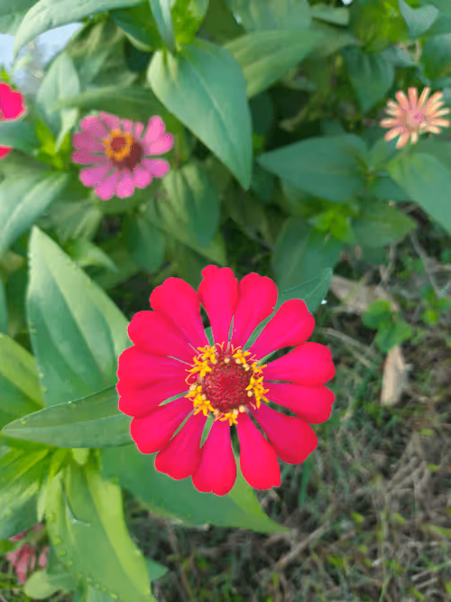 Item #78774018974347764357765192518377150739749637856503949941232678402880423591937 Media