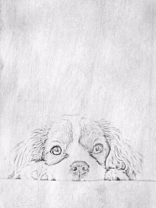 Item #104571871624713793639651805658793486494192065920849225127728493726602417405953 Media