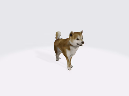 Dogedog
