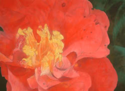 Item #72925079646173943955019179802066495558357068765344184678483369519894390374410 Media