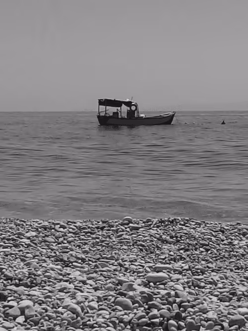 Item #74941740659837135197392047753913112169626868086045072628241115548457478651906 Media