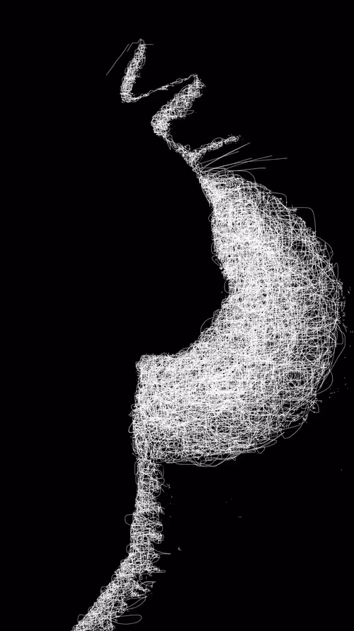 Item #20286817641922993541065929101952433978531825078991625494647867578904217649153 Media