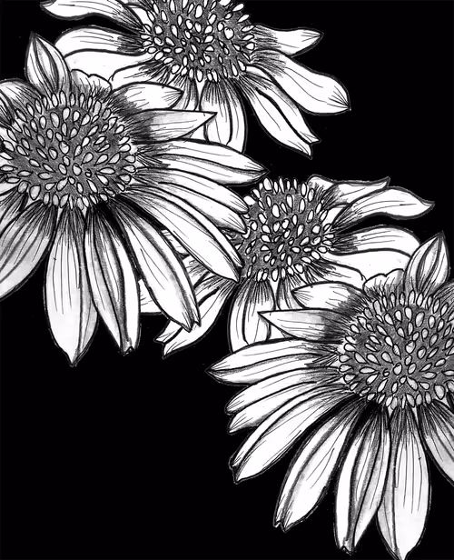 Item #68454278924294831971980075234794093831000104919785399297613798363793060790273 Media