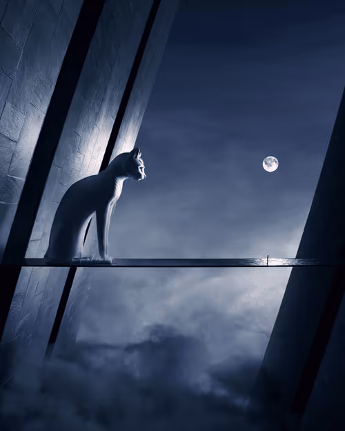 Item #34252361221662230099980111613500365806699623367685785021022566517701708087396 Media