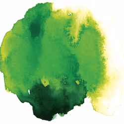 WaterColor Element 005