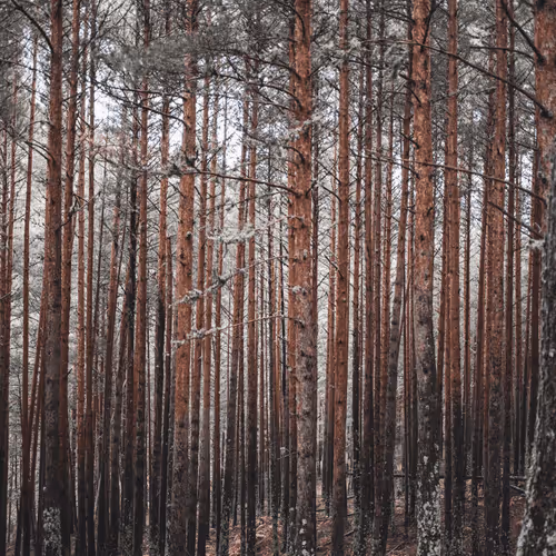 2495895736977934974538012810056584036049628641576847568535508431920468852836