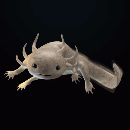 Item #39982110375740153587505644478940195082872270202471884348459982241458242453505 Media