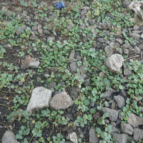 Untitled Collection #32870469