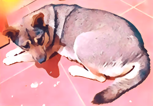 Item #74122138759525378795667626270866148487737655975912799548892276407879287701505 Media