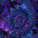 3541372162870402225843345599749977546180288260504988635069190505067817467905