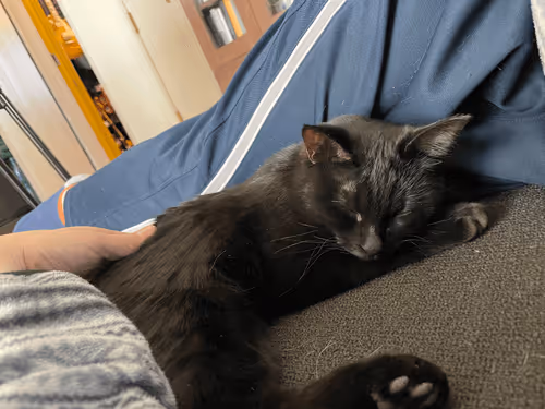 Item #57432309319676179700798702069366385585354272226932054472084542106861637206017 Media