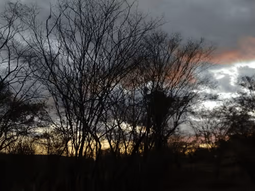 Untitled Collection #52694410