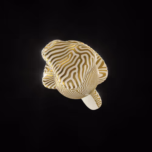 Item #83535453821146316306178013320250520096293247508023240542449519290465357135873 Media